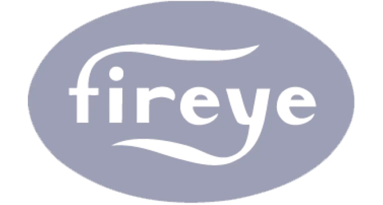 6824b4c910b4c43321699582_Fireeye